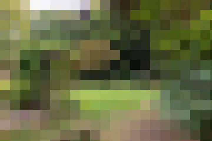 Wolfersveenweg 5 Zelhem thumbnail 20