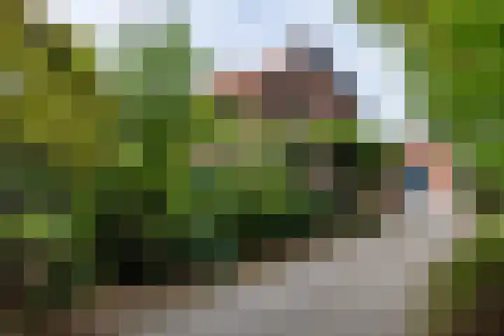 Wolfersveenweg 5 Zelhem thumbnail 23