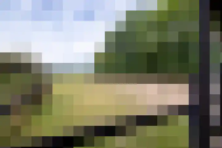 Wolfersveenweg 5 Zelhem thumbnail 46