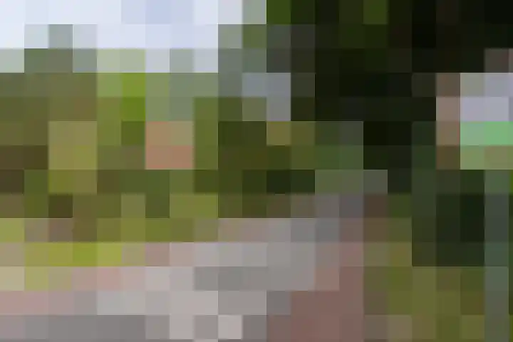 Wolfersveenweg 5 Zelhem thumbnail 50