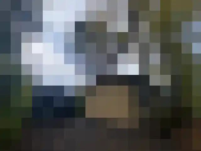 Wolfhezerweg 111 Wolfheze thumbnail 4