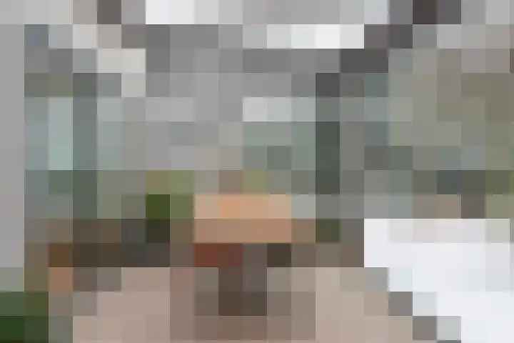 Wolfhezerweg 120 32 Wolfheze thumbnail 30