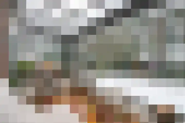 Wolfhezerweg 120 32 Wolfheze thumbnail 31