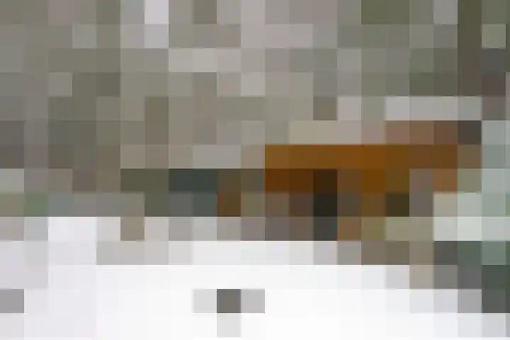 Wolfhezerweg 120 32 Wolfheze thumbnail 61