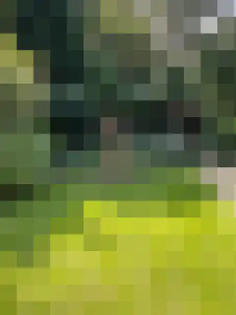 Wolfhezerweg 120 32 Wolfheze thumbnail 65