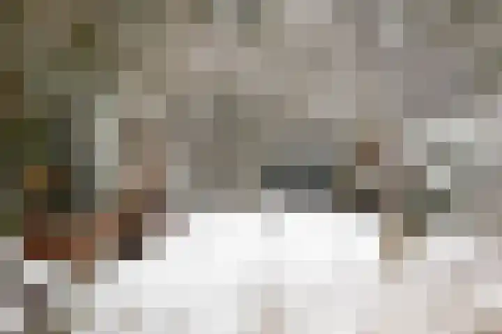 Wolfhezerweg 120 32 Wolfheze thumbnail 66