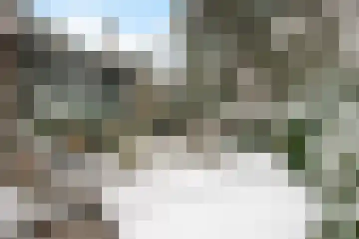Wolfhezerweg 120 32 Wolfheze thumbnail 67