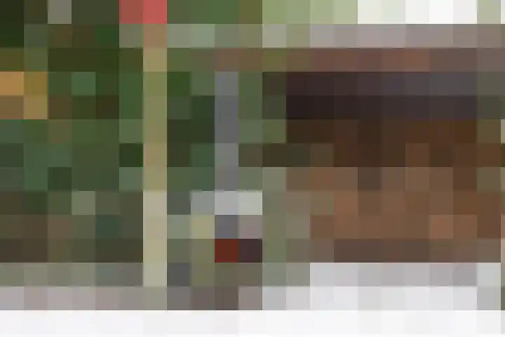 Wolfhezerweg 120 32 Wolfheze thumbnail 68