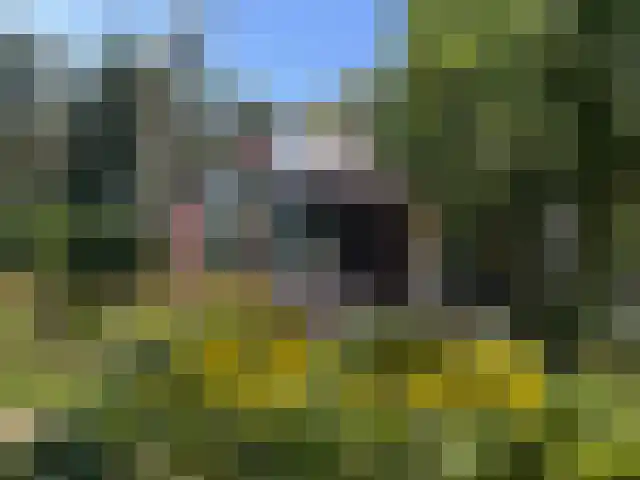Wolfhezerweg 120 32 Wolfheze thumbnail 71