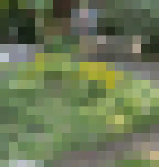 Wolfhezerweg 120 32 Wolfheze thumbnail 72