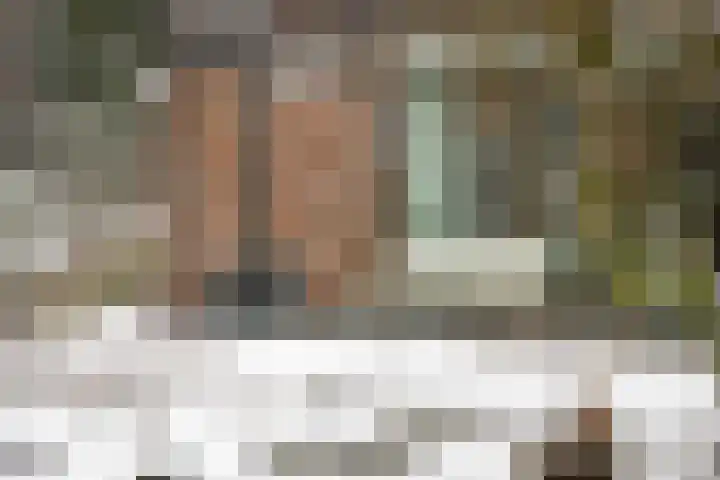 Wolfhezerweg 120 32 Wolfheze thumbnail 73