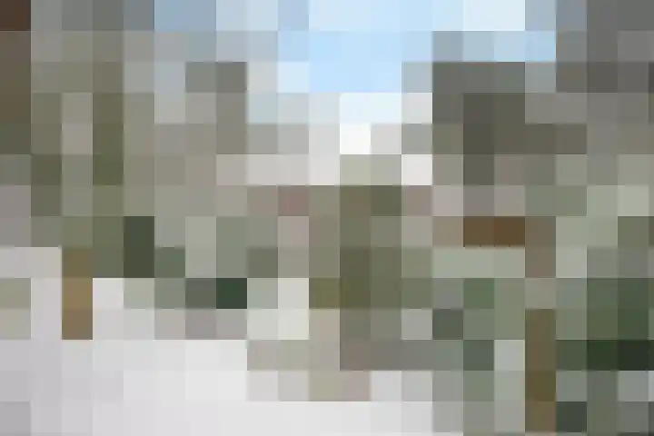 Wolfhezerweg 120 32 Wolfheze thumbnail 79
