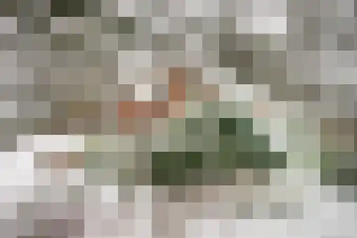 Wolfhezerweg 120 32 Wolfheze thumbnail 81