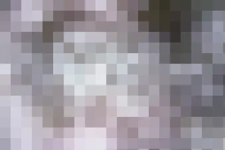 Wolfhezerweg 120 32 Wolfheze thumbnail 90