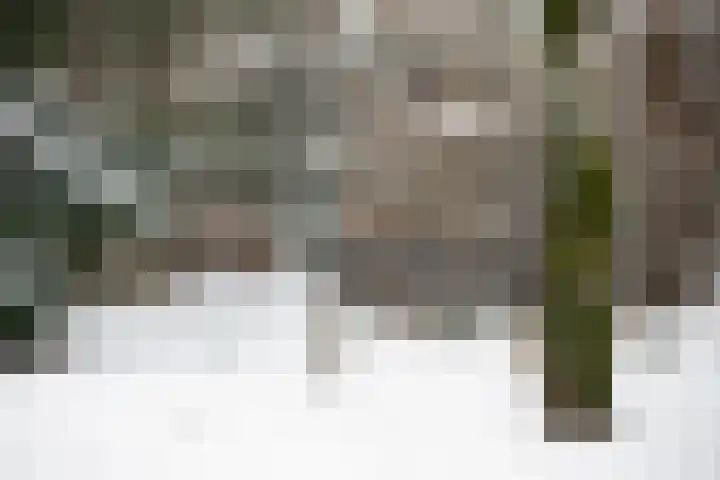 Wolfhezerweg 120 32 Wolfheze thumbnail 92