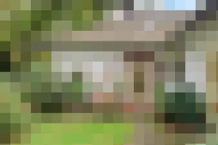 Wolfhezerweg 38 Wolfheze thumbnail 4
