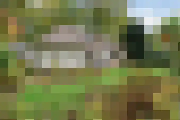 Wolfhezerweg 38 Wolfheze thumbnail 44