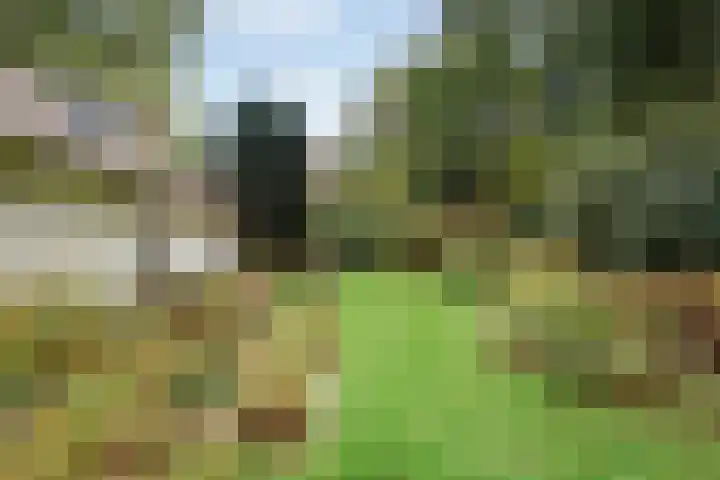 Wolfhezerweg 38 Wolfheze thumbnail 45