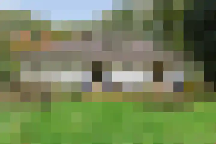 Wolfhezerweg 38 Wolfheze thumbnail 46