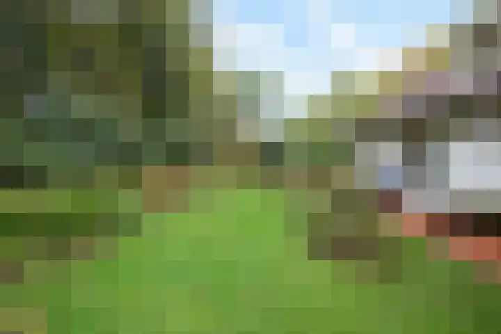 Wolfhezerweg 38 Wolfheze thumbnail 48