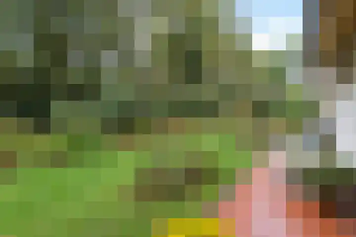 Wolfhezerweg 38 Wolfheze thumbnail 49