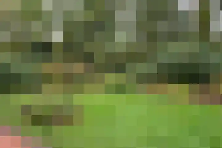 Wolfhezerweg 38 Wolfheze thumbnail 51