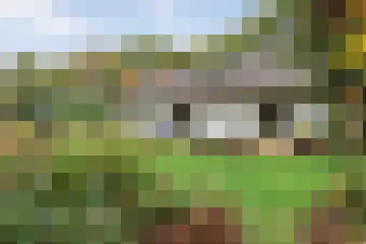 Wolfhezerweg 38 Wolfheze thumbnail 52