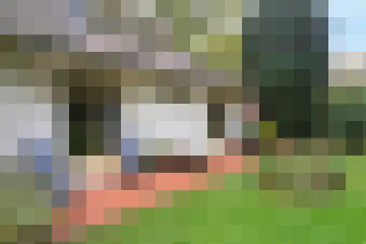 Wolfhezerweg 38 Wolfheze thumbnail 53