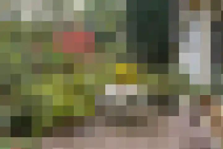 Wolfhezerweg 38 Wolfheze thumbnail 54
