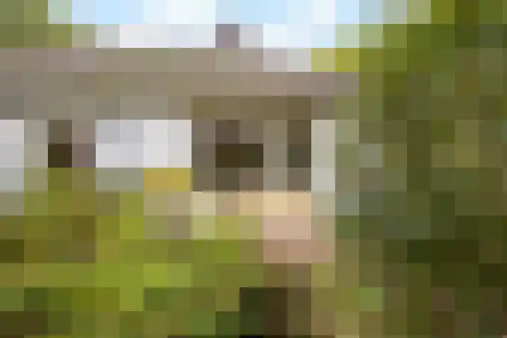 Wolfhezerweg 38 Wolfheze thumbnail 56