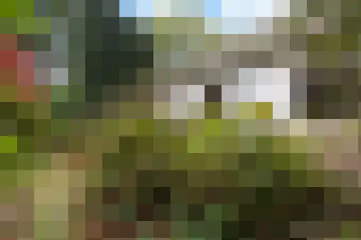 Wolfhezerweg 38 Wolfheze thumbnail 58