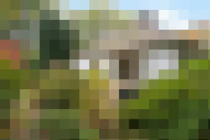 Wolfhezerweg 38 Wolfheze thumbnail 59