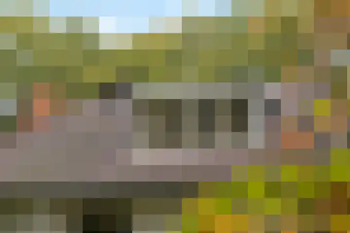 Wolfhezerweg 38 Wolfheze thumbnail 60