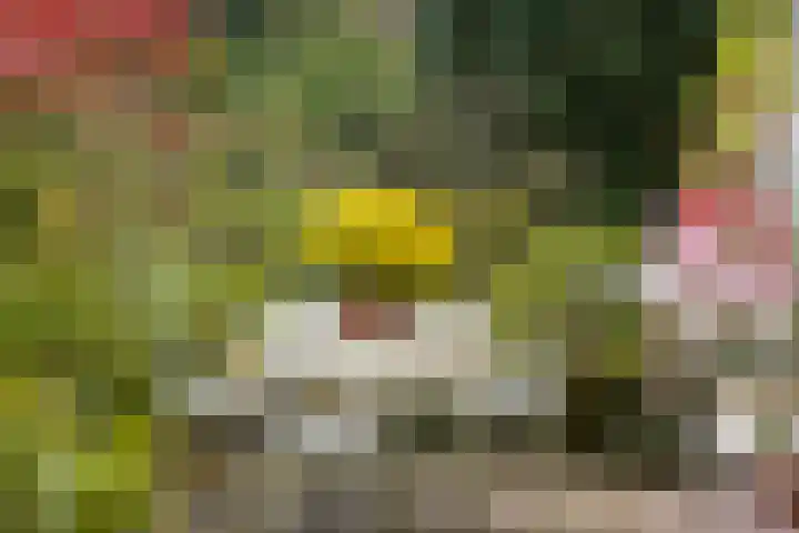 Wolfhezerweg 38 Wolfheze thumbnail 62