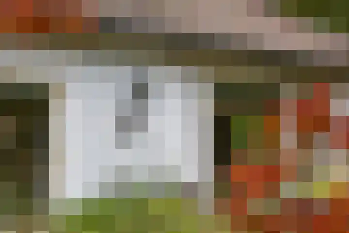 Wolfhezerweg 38 Wolfheze thumbnail 63