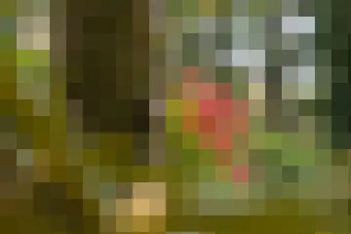 Wolfhezerweg 38 Wolfheze thumbnail 64