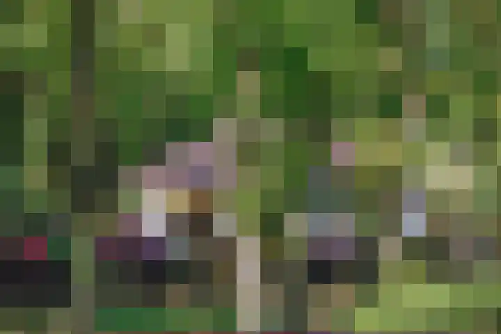 Wolfhezerweg 38 Wolfheze thumbnail 66