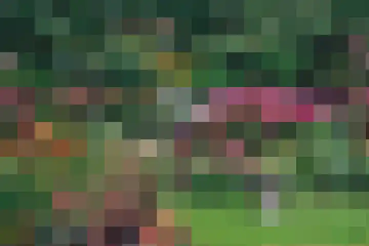 Wolfhezerweg 38 Wolfheze thumbnail 67