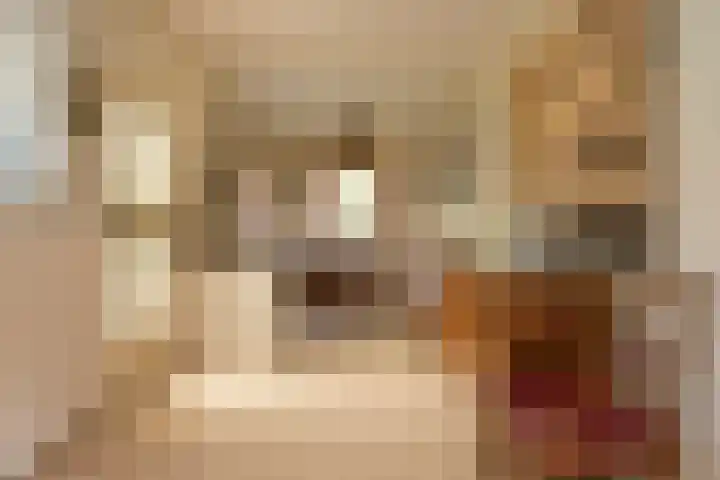Wolfhezerweg 38 Wolfheze thumbnail 7