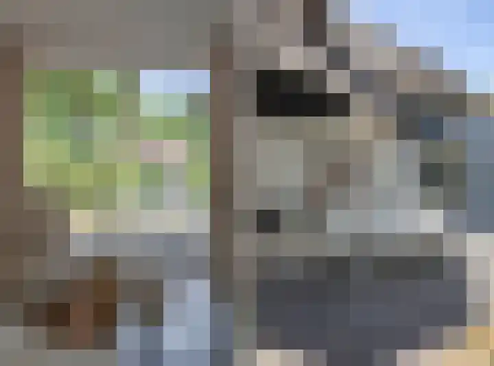 Wolfhezerweg 73 Wolfheze thumbnail 14