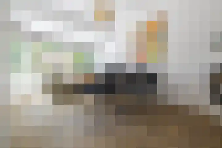 Wolfhezerweg 73 Wolfheze thumbnail 15