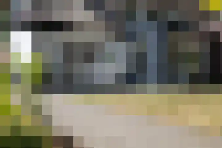 Wolfhezerweg 73 Wolfheze thumbnail 44
