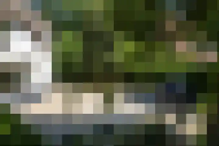 Wolfhezerweg 73 Wolfheze thumbnail 47