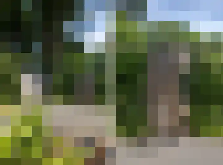 Wolfhezerweg 73 Wolfheze thumbnail 49