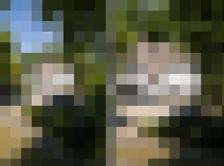 Wolfhezerweg 73 Wolfheze thumbnail 7