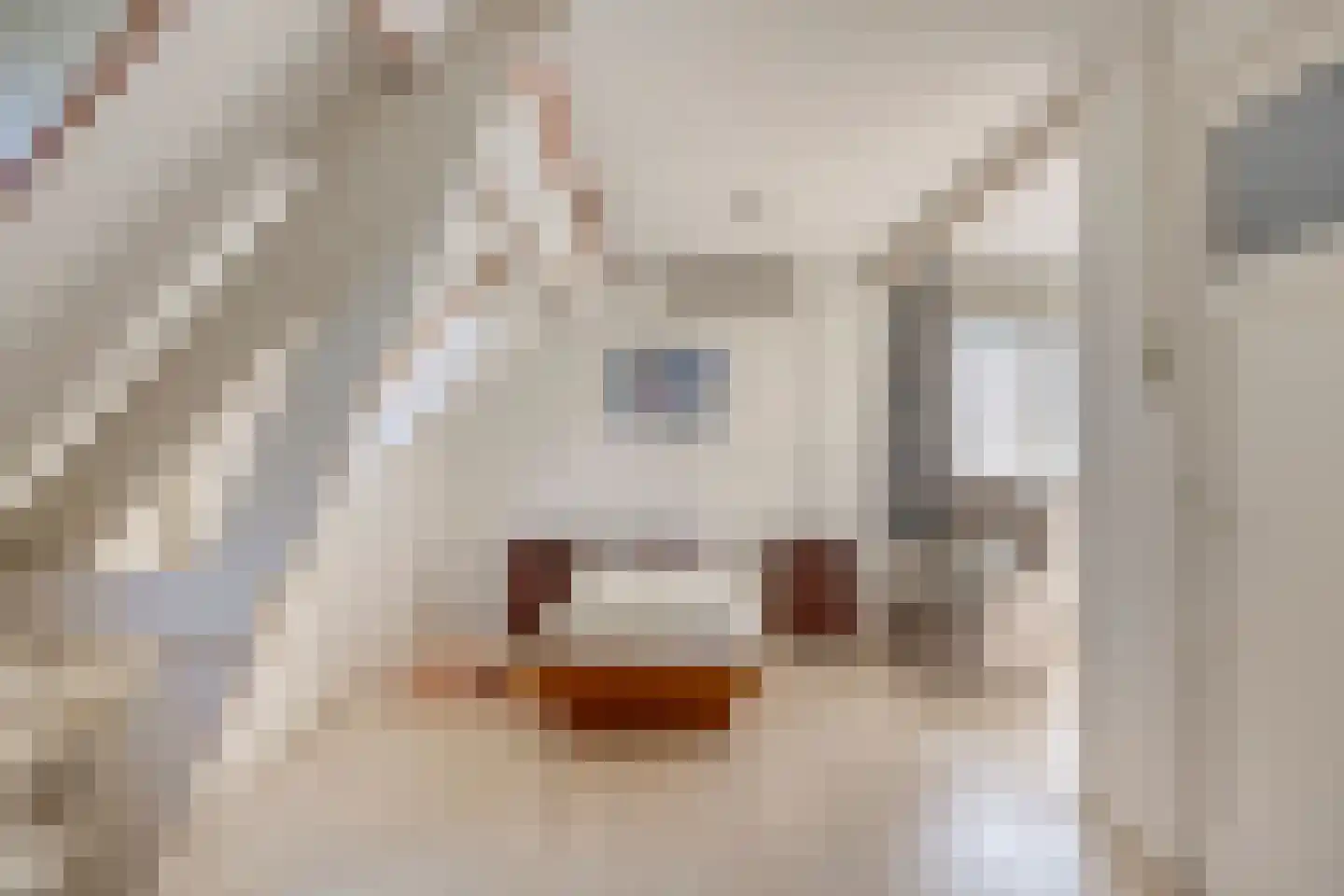 Wolfhezerweg 86 Wolfheze thumbnail 22