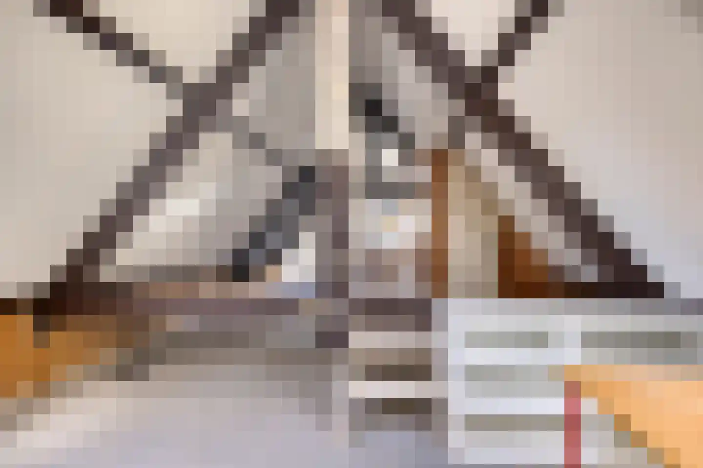 Wolfhezerweg 86 Wolfheze thumbnail 33