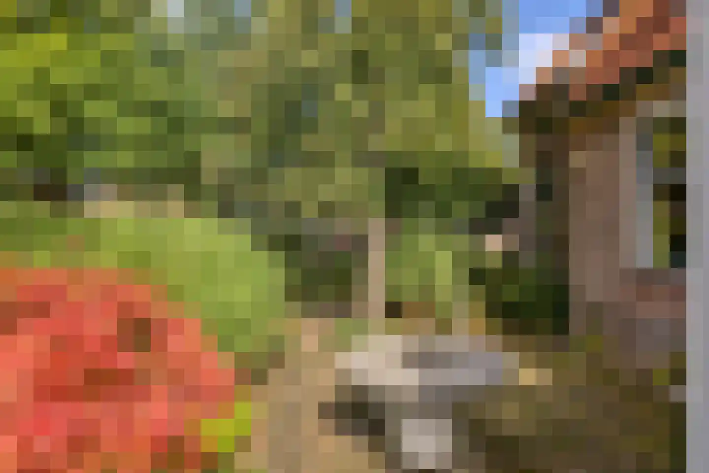 Wolfhezerweg 86 Wolfheze thumbnail 35