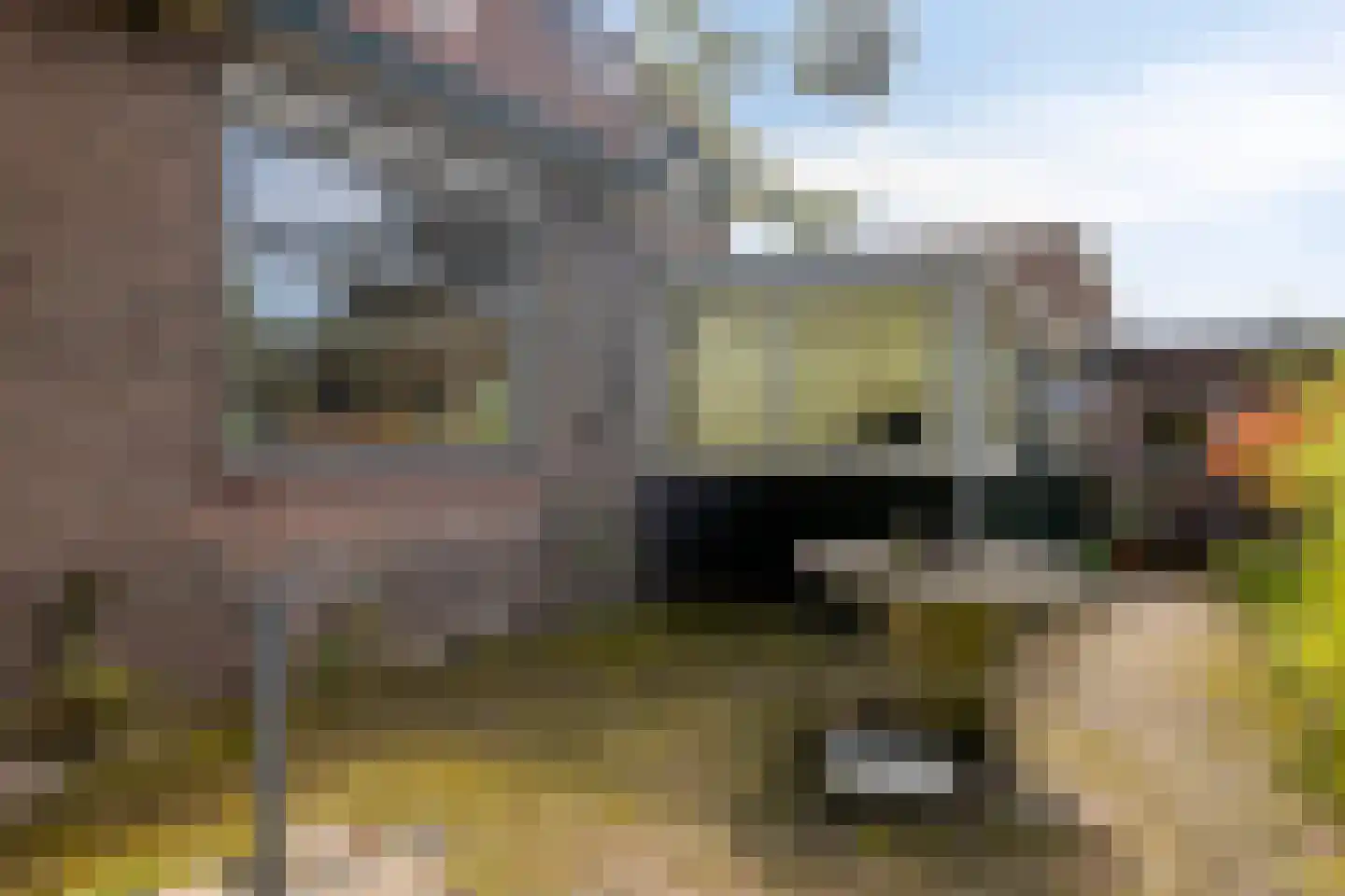 Wolfhezerweg 86 Wolfheze thumbnail 36