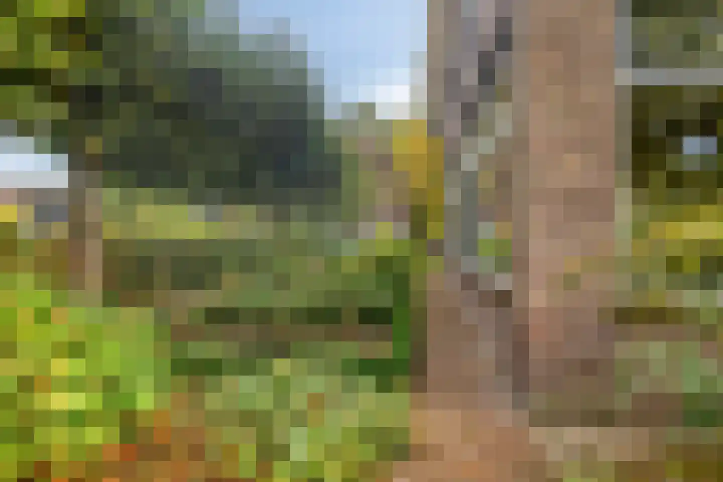 Wolfhezerweg 86 Wolfheze thumbnail 37